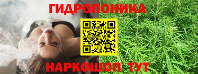 индика Комсомольск-на-Амуре