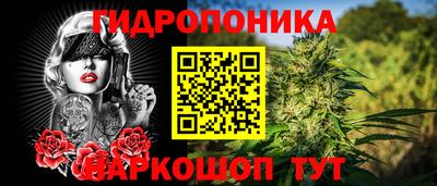 индика Комсомольск-на-Амуре