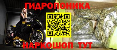 индика Комсомольск-на-Амуре
