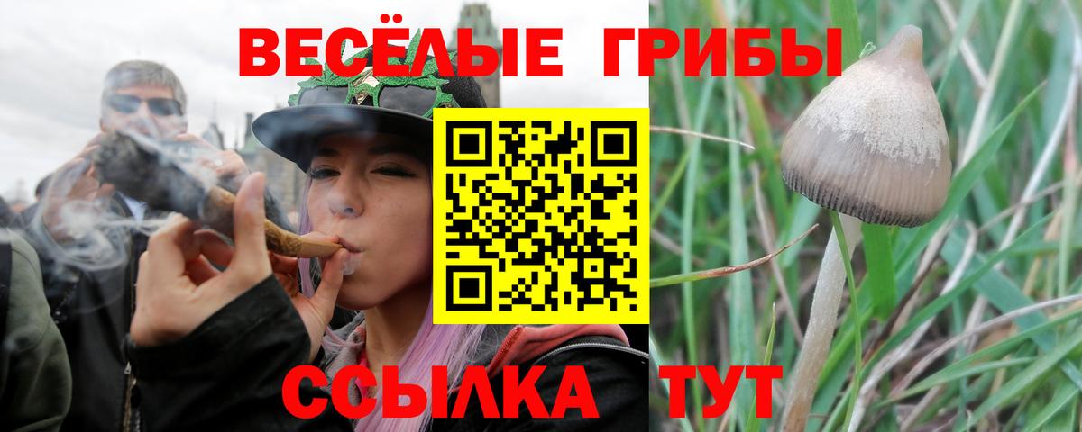 Нурлат  Псилоцибиновые грибы GOLDEN TEACHER  Вход с VPN 