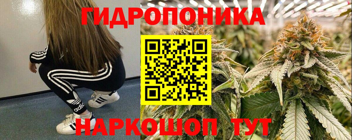 Бошки марихуана марихуана  Бошки марихуана индика  Нурлат  Вход с VPN  Бошки марихуана THC 21% 
